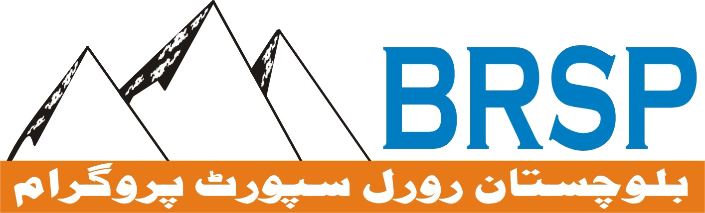 BRSP-Logo.png